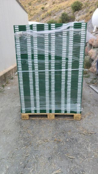 Cajas plegables verdes y blancas