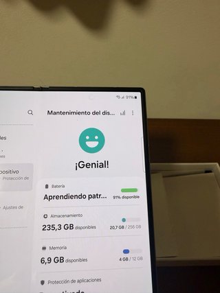 Samsung Galaxy Z Fold 6 Gris 256GB