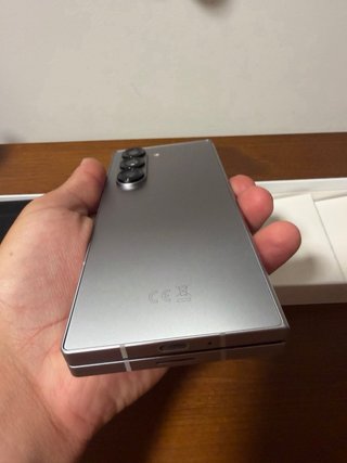 Samsung Galaxy Z Fold 6 Gris 256GB