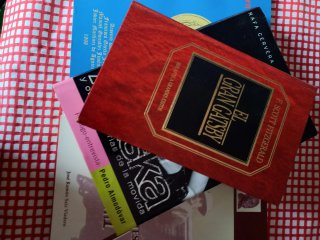 Lote de 10 libros de novela