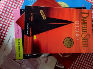 Lote de 10 libros de novela