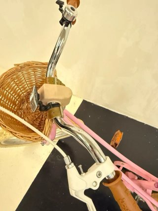 Bicicleta Infantil Rosa 20 Pulgadas