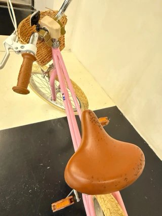 Bicicleta Infantil Rosa 20 Pulgadas