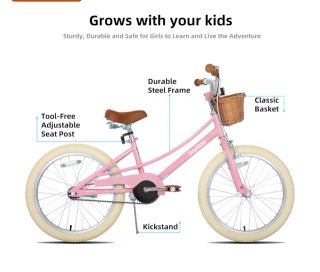 Bicicleta Infantil Rosa 20 Pulgadas