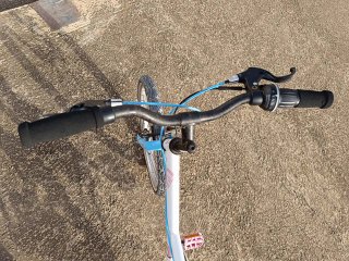 Bicicleta infantil 20 pulgadas