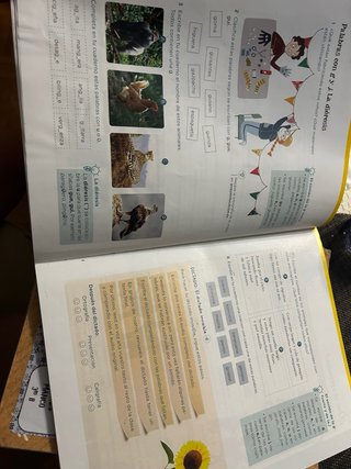 Lengua 4 de primaria Operación Mundo- ANAYA
