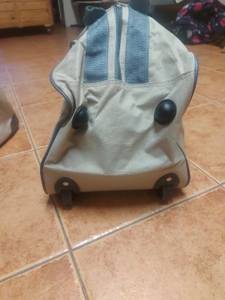 Juego de 2 Bolsas de Viaje Beige y Gris