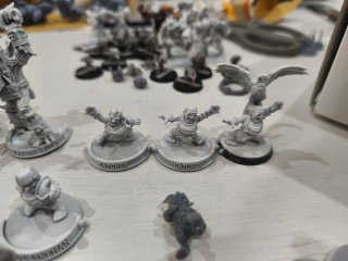 Equipo Halflings Piratas Bloodbowl