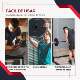 Discos de Pesas 10kg y 5kg