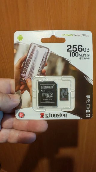 Kingston Micro SD 256GB