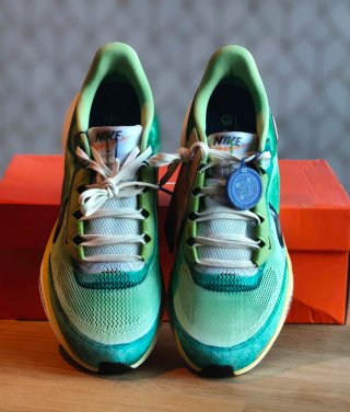 Nike Pegasus 41 SE Verde Multicolor