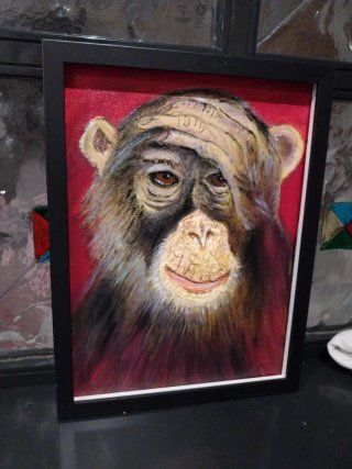 Quadro Pensaci tu scimmia