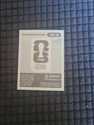 Cromo Panini Haaland Mundial 2026