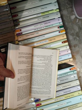 Libros 100joyas del Milenium ros