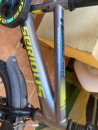 Bicicleta infantil Serious