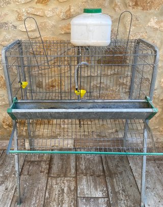 Jaula Gallinas con Bebedero