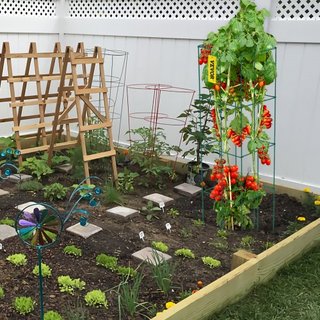 Gabbie per pomodori, 11,8" x 11,8" x 46,1", 10 pacchetti di gabbie di supporto quadrate per piante, torri di pomodoro in acciaio rivestite in PVC verde per verdure rampicanti, piante, fiori, frutta