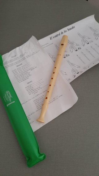 Flauta escolar Hohner con funda