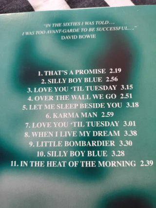 CD David Bowie In The Beginning