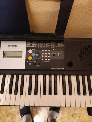 Piano Teclado Yamaha E223