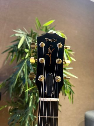 Guitarra Taylor K24ce