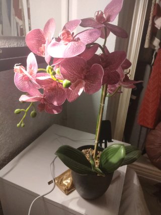 Orquídea Artificial Rosa y Verde