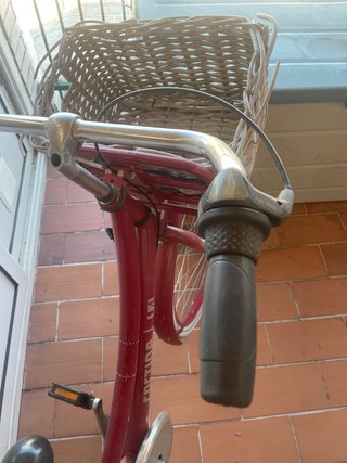 Bicicleta Cortina U4