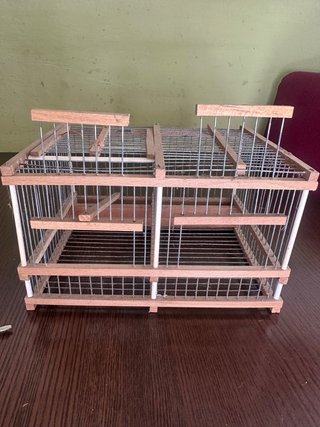 Gabbia doppia recupero uccelli