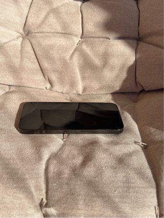 iPhone 13 Pro 256GB Negro