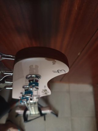 Bajo Eléctrico