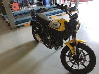 Ducati Scrambler Icon 803cc Amarilla