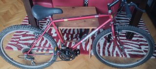 Bicicleta Boomerang Elite Roja