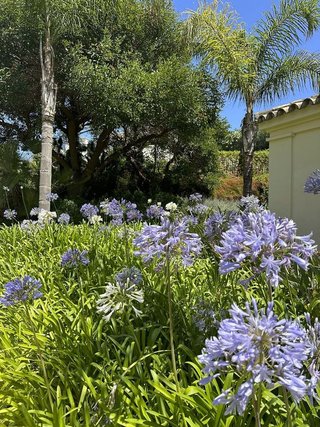 Piso en venta en Casares Golf - Casares del Sol en Casares
