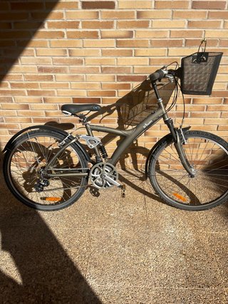Bicicleta perfecta para dar paseos b Twin
