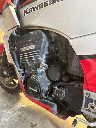 Kawasaki GPZ 900 R Roja