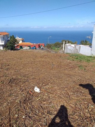 Terreno en venta en Sauzal (El)