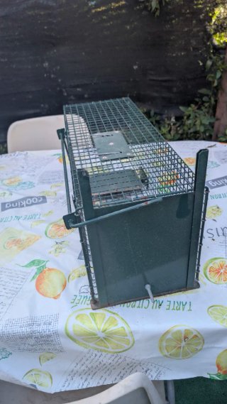 Trampa para ratones ,conejos y otros animales