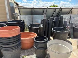 Lote Macetas Árboles y Contenedores