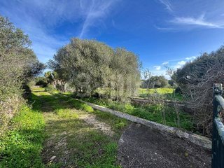 Terreno en venta en Ciutadella en Ciutadella de Menorca