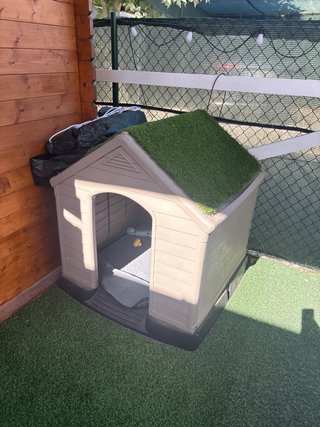 Caseta para perro beige y verde