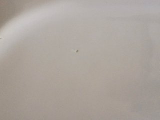 Tapa Cisterna WC Porsan Blanca