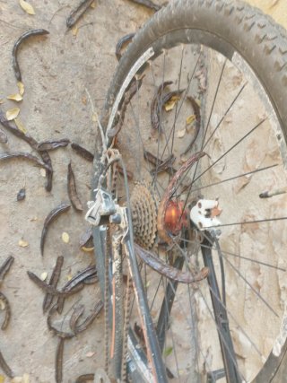 Bicicleta de montaña Talla m