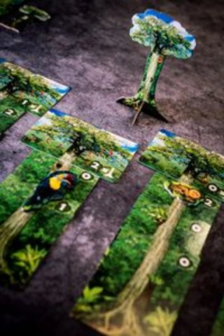 Amazonia juego de mesa Devir