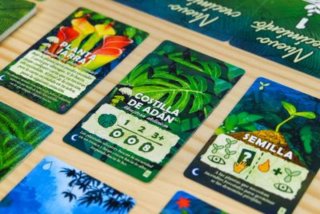Amazonia juego de mesa Devir