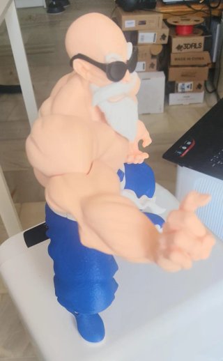 Figura Maestro Roshi 3D