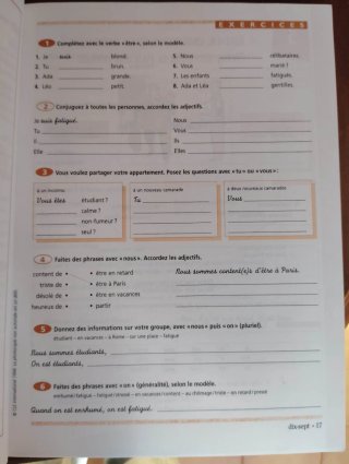 Francés gramática nivel inicial