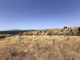 Terreno en venta en Pedrezuela