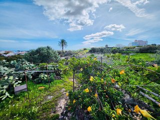 Terreno en venta en Ingenio en Ingenio