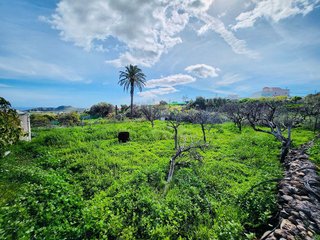 Terreno en venta en Ingenio en Ingenio