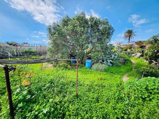 Terreno en venta en Ingenio en Ingenio